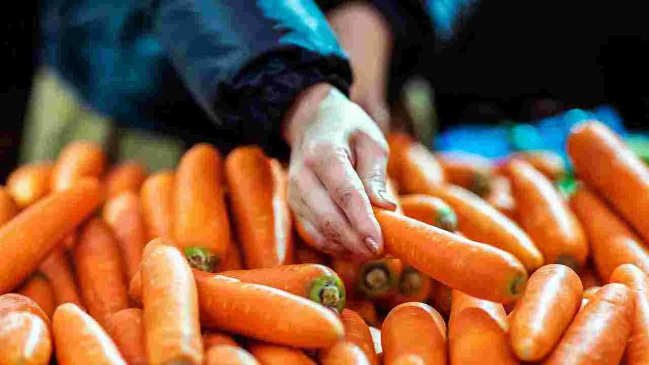 Health Tips: క్యాన్సర్ ప్రమాదాన్ని తగ్గించే.. 5 ఆహారాలివే.. 