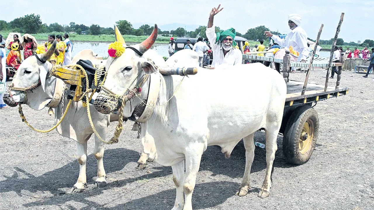 రైతును రాజును చేస్తా