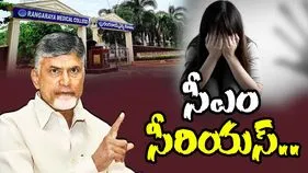CM Reacts Kakinada Incident: కాకినాడ జీజీహెచ్ ఘటన.. వారిపై కఠిన చర్యలకు సీఎం చంద్రబాబు ఆదేశం