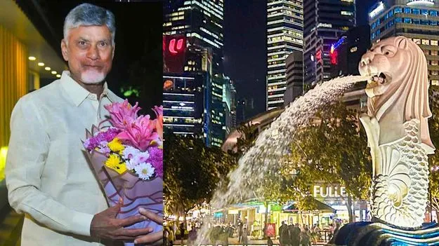 Chandrababu Singapore Tour: చంద్రబాబు సింగపూర్ టూర్.. డయాస్పోరా అమితాసక్తి, భారీ రెస్పాన్స్