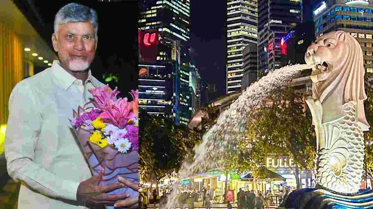 Chandrababu Singapore Tour: చంద్రబాబు సింగపూర్ టూర్.. డయాస్పోరా అమితాసక్తి, భారీ రెస్పాన్స్