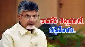 CM Chandrababu: ఆ సమస్య అన్ని దేశాల్లో ఉంది