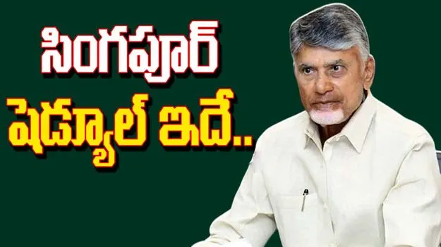 CM Chandrababu:  సీఎం చంద్రబాబు సింగపూర్ పర్యటన షెడ్యూల్ ఖరారు