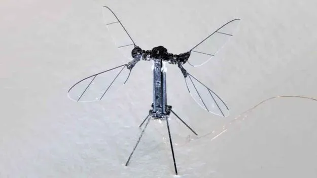 Mosquito Drone: దోమ సైజులో డ్రోన్.. చైనా నయా అద్భుతం.. ప్రపంచంలో అతిచిన్న మిలిటరీ వెపన్ ఇదే..