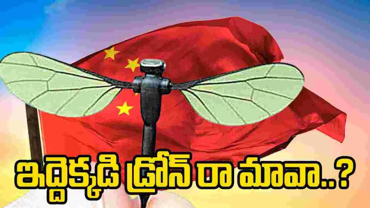 వాచ్‌డాగ్‌లా పిటిషన్ల కమిటీ : డిప్యూటీ స్పీకర్‌