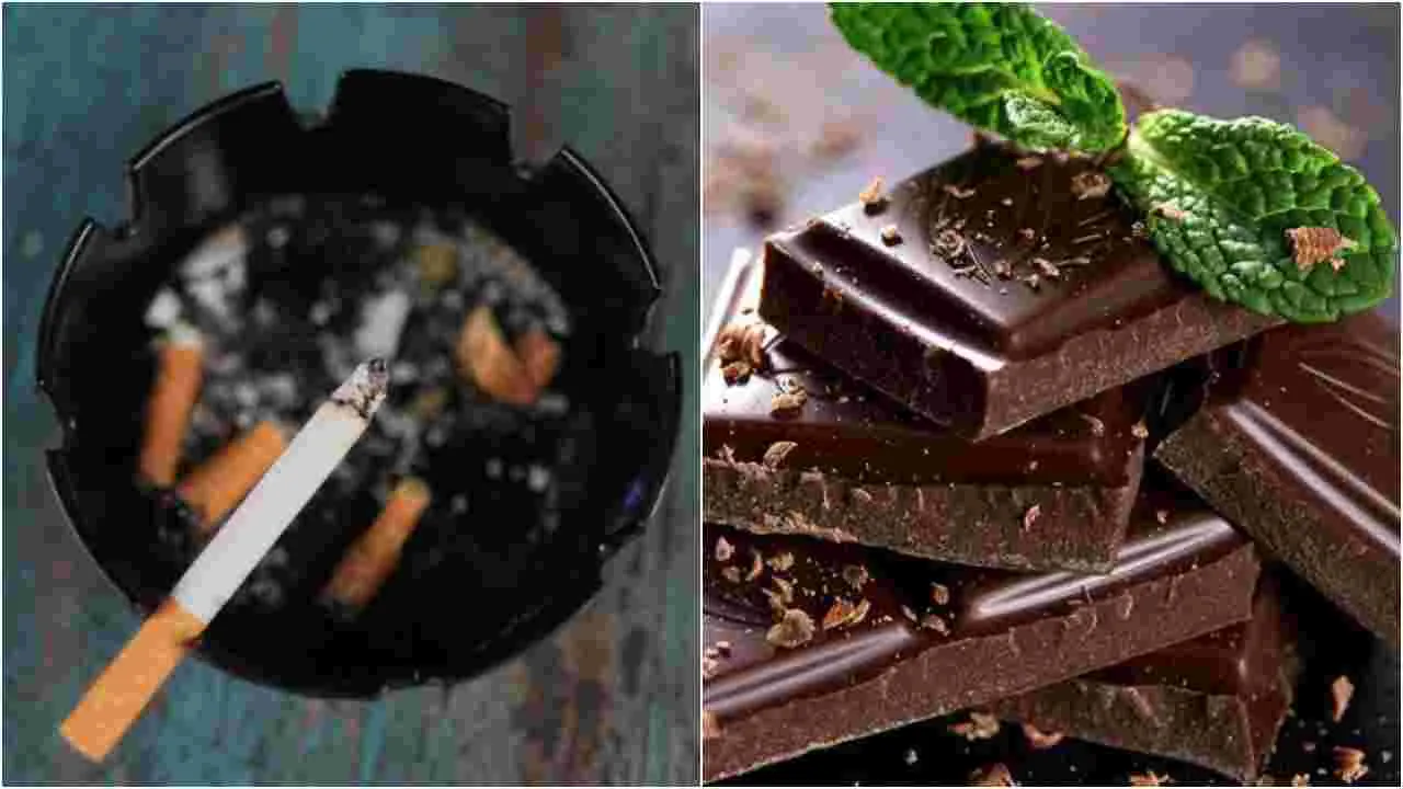 Cigarette VS Chocolate: సిగరెట్ కంటే చాక్లెట్స్ వెరీ డేంజర్..