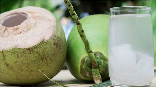 Coconut Water: ఖాళీ కడుపుతో కొబ్బరి నీళ్లు తాగడం మంచిదేనా..