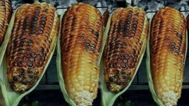 Corn Health Tips:  కాల్చిన మొక్కజొన్న తినే ముందు ఇలా చేయండి.. లేదంటే.. 
