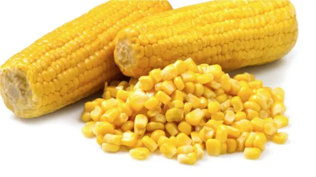 Corn Benefits: వర్షాకాలంలో మొక్కజొన్న.. వీటి ప్రయోజనాలు తెలిస్తే ఆశ్చర్యపోతారు..