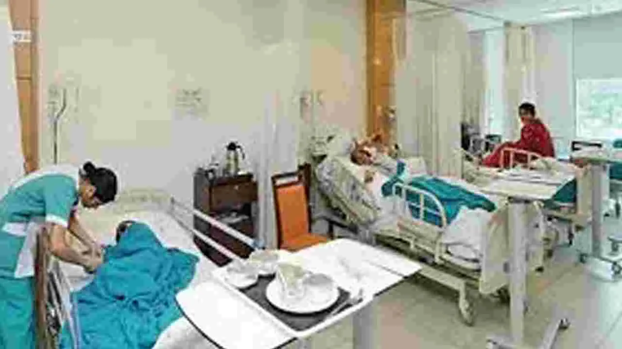 Telangana Hospital Diesel Generators: ఆస్పత్రుల్లో కరెంట్‌ కష్టాలకు చెక్‌