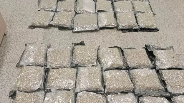 Cannabis Seizure: బ్యాంకాక్‌ నుంచి గంజాయి