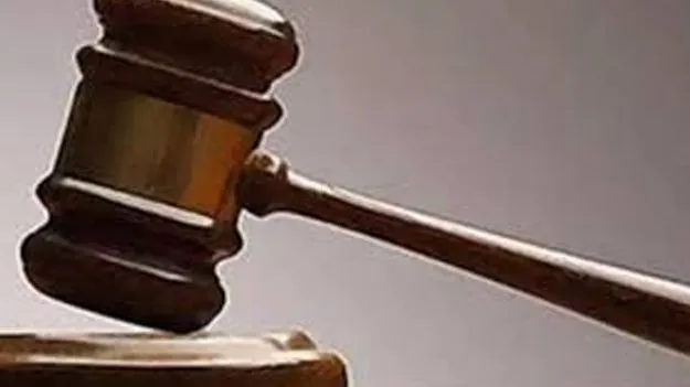 Government Land Dispute: వెస్టర్న్ విండ్సర్ నిర్మాణాలపై లోకాయుక్తకు ఫిర్యాదు