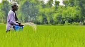 Subsidized Fertilizers: సబ్సిడీ ఎరువులతో లింక్‌ ఉత్పత్తులు అంటగట్టడం నేరం