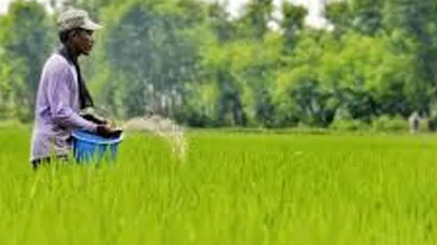 Subsidized Fertilizers: సబ్సిడీ ఎరువులతో లింక్‌ ఉత్పత్తులు అంటగట్టడం నేరం