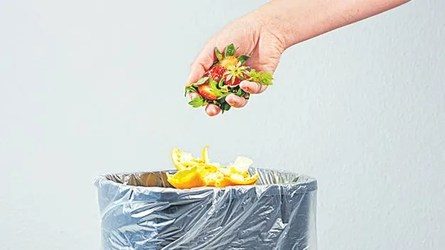 Best Way To Clean Garbage Bin: చెత్త బుట్టను ఇలా ఉంచుకోవాలి...
