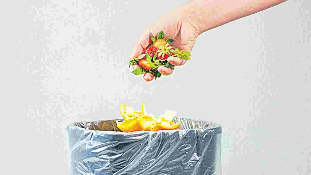 Best Way To Clean Garbage Bin: చెత్త బుట్టను ఇలా ఉంచుకోవాలి...