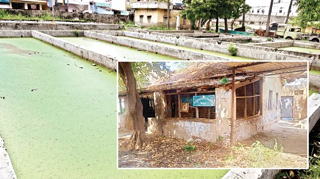 సంక్షేమం ఎరుగని  మత్స్య కార్మికులు 