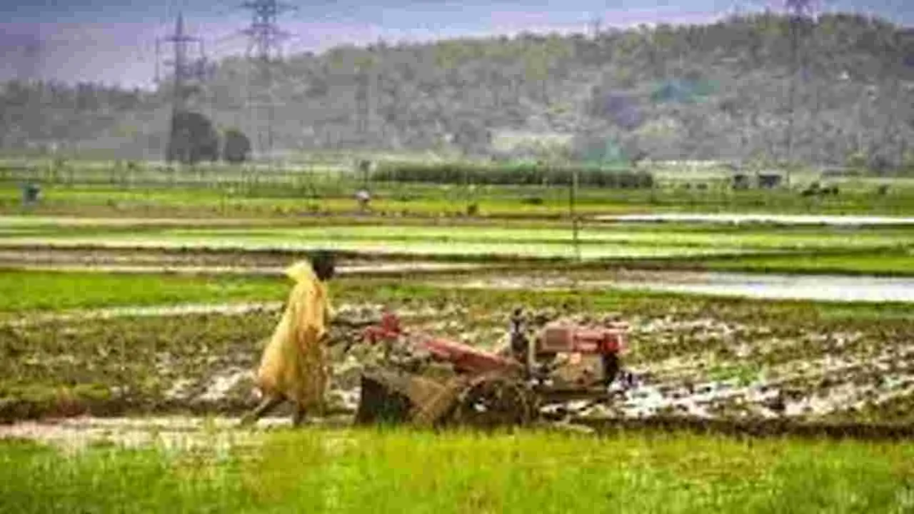 PM Kisan: రేపు కిసాన్‌ సమ్మాన్‌ నిధుల జమ