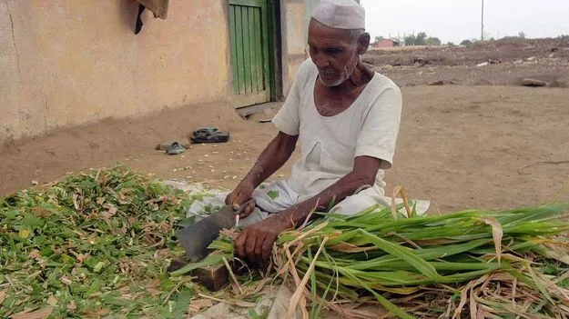 Struggles Of India Elderly: విశ్రాంతి వయసులో జీవన పోరాటం