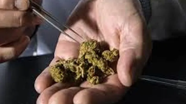 Drug Control: గంజాయి, డ్రగ్స్‌ నియంత్రణకు సాంకేతికతను వినియోగించాలి