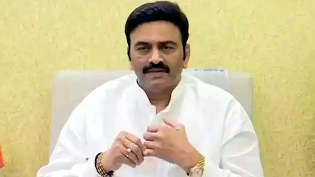 Raghurama Krishnaraju: పీ4లో ప్రవాసులు భాగస్వామ్యం కావాలి