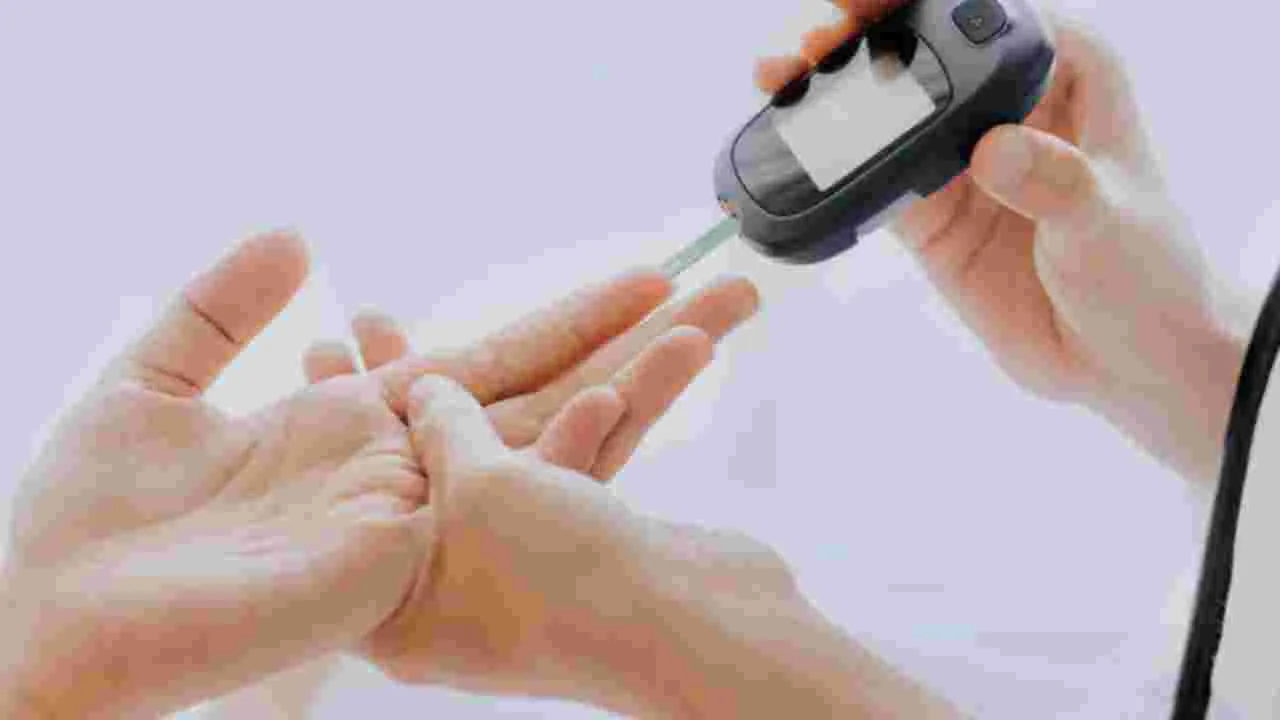 Diabetes: డయాబెటిస్ కంట్రోల్ చేయాలంటే.. డైట్‌లో వీటిని తీసుకోండి.. 