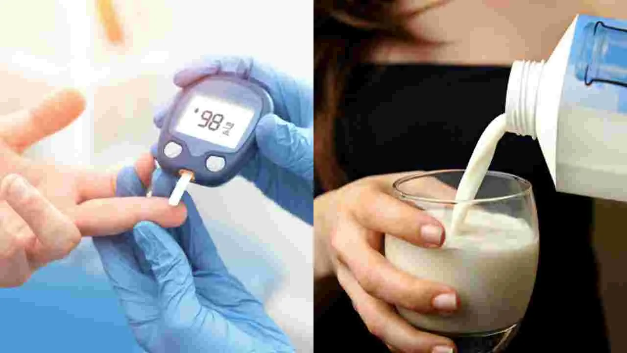 Diabetes: ఈ పాలు చాలా స్పెషల్.. డయాబెటిస్‌కి చెక్ పెట్టాలంటే మీ డైట్‌లో రోజుకు.. 