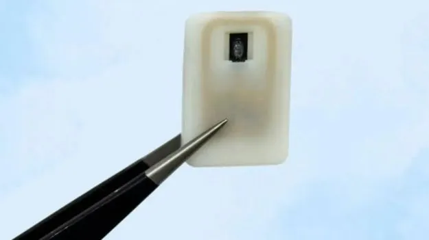 New Implant For Diabetes:  మధుమేహం ఉన్నవారికి బిగ్ రిలీఫ్.. MIT కొత్త ఇంప్లాంట్ అభివృద్ధి.!