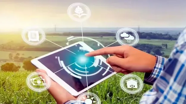 Digital Farming: ఖరీఫ్‌లో డిజిటల్‌ పంట సర్వే
