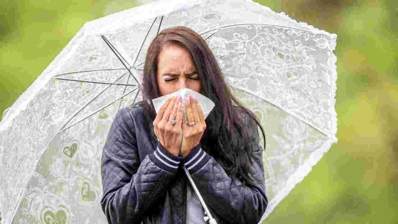 Health Tips: వర్షాకాలంలో రోగ నిరోధక శక్తిని పెంచే 6 ఆహారాలివే.. 