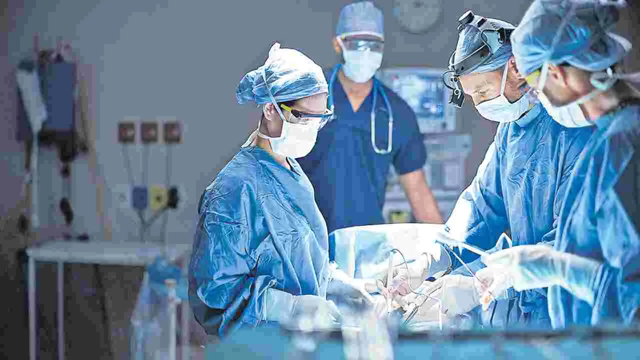 Doctors as Life-Savers: వైద్యులు... ప్రాణ దాతలు 