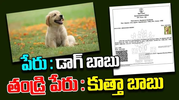 Dog Babu Story: ఓటర్ కార్డు కోసం అప్లై చేసుకున్న డాగ్ బాబు.. తర్వాత ఏం జరిగిందంటే..
