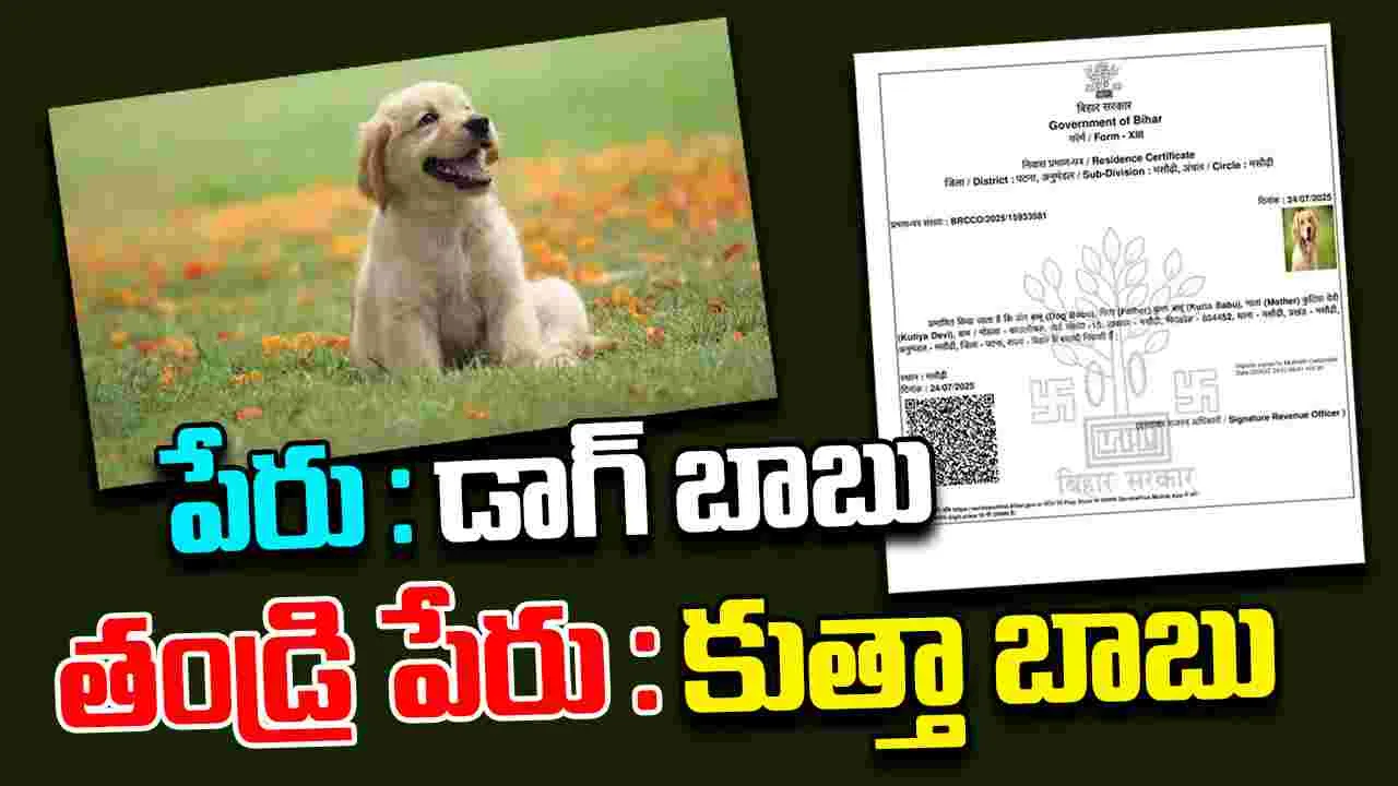 Dog Babu Story: ఓటర్ కార్డు కోసం అప్లై చేసుకున్న డాగ్ బాబు.. తర్వాత ఏం జరిగిందంటే..