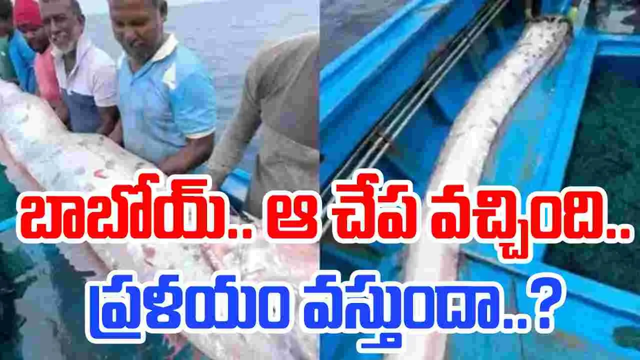 Doomsday Fish: నీటిపైకి ఓర్ చేప.. ప్రళయం రాబోతోందా?