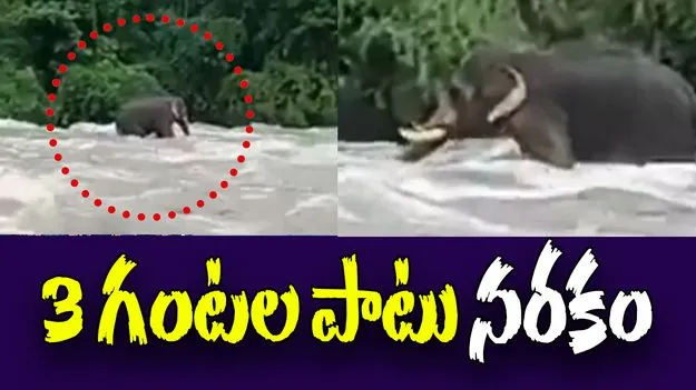 Viral Video: వరదలో చిక్కి మూడు గంటల పాటు నరకం