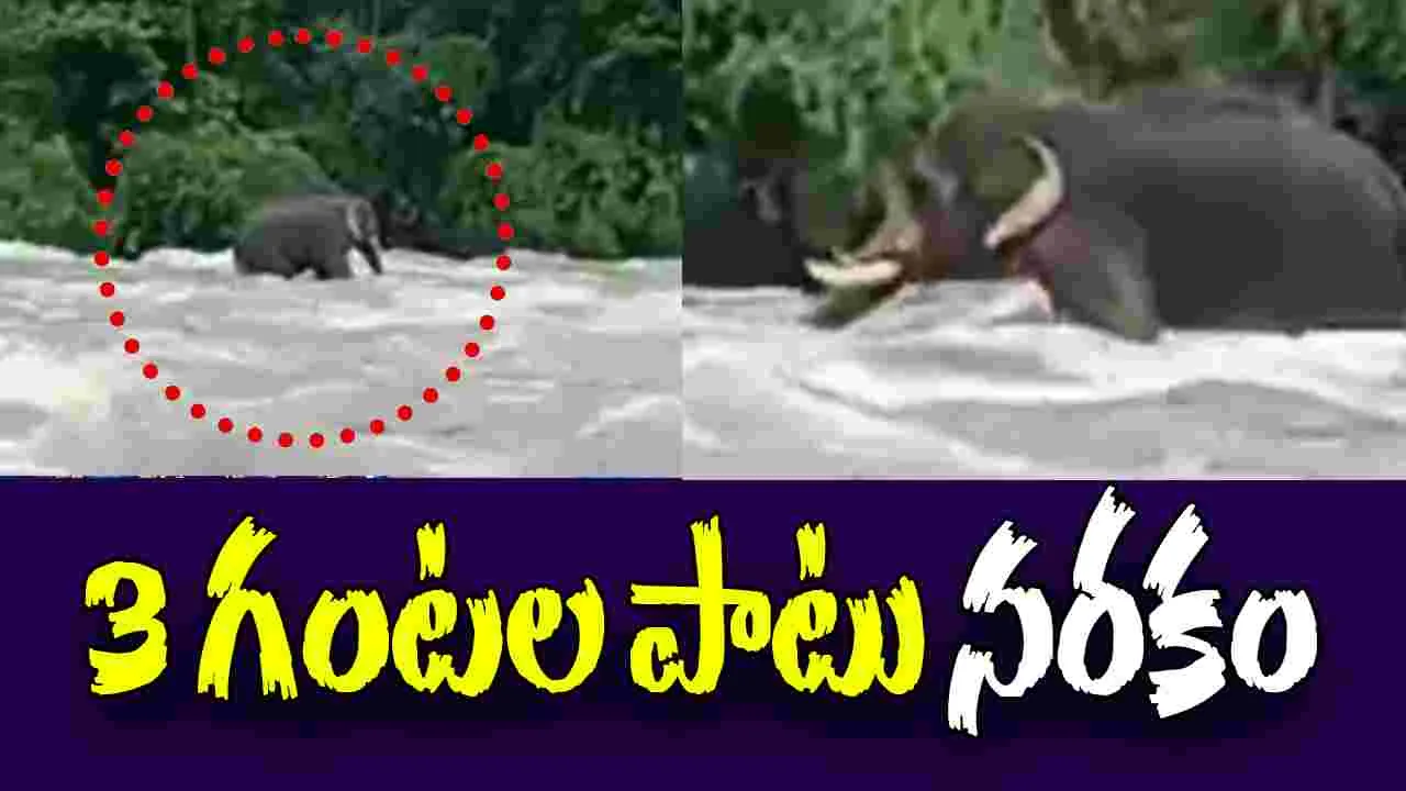 Viral Video: వరదలో చిక్కి మూడు గంటల పాటు నరకం