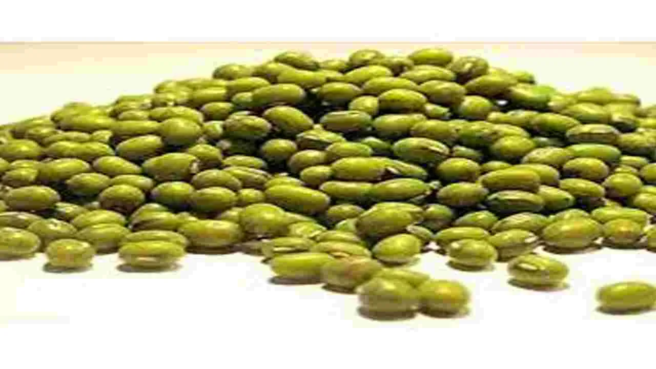 Moong Dal Recipes: పెసలతోపసందుగా...