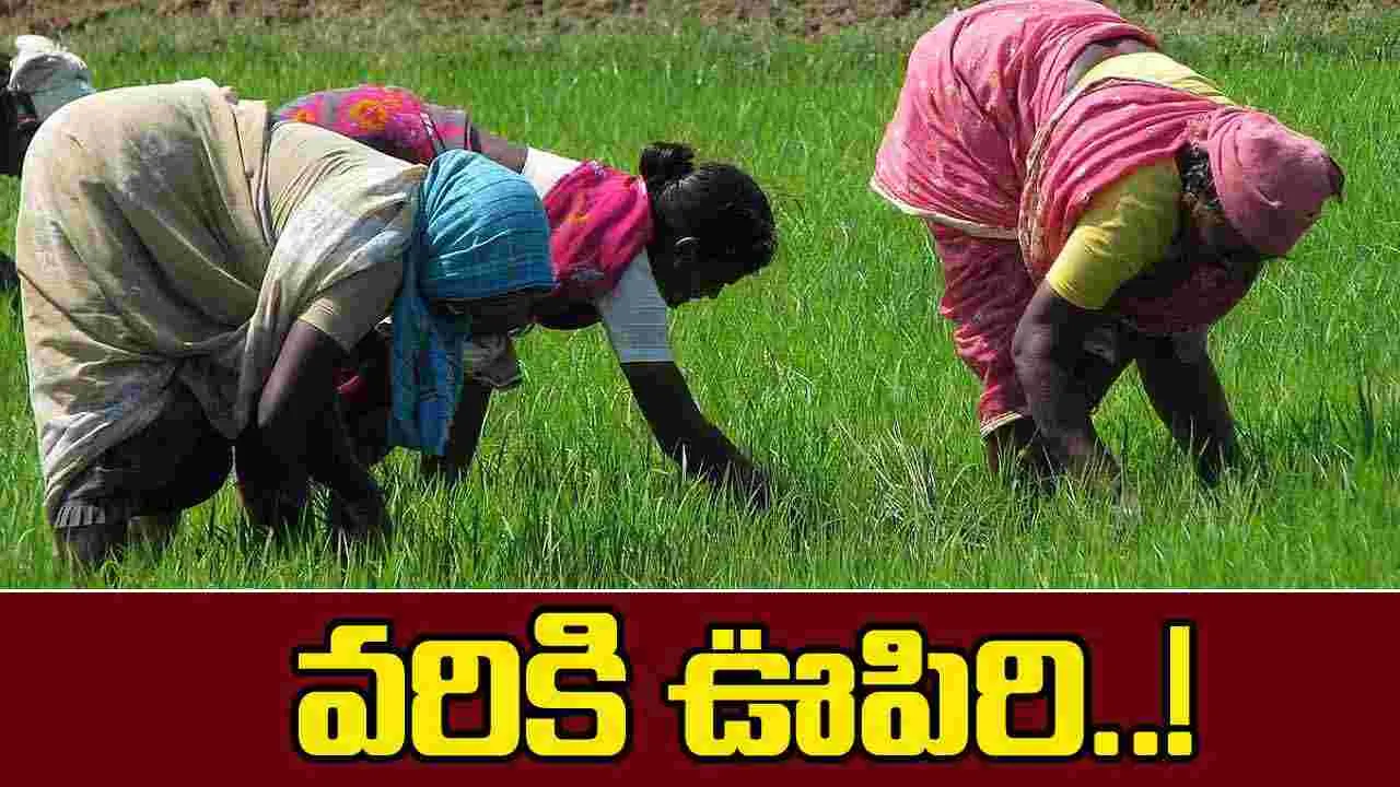 Kharif Crops 2025: ఖరీఫ్‌ కళకళ 