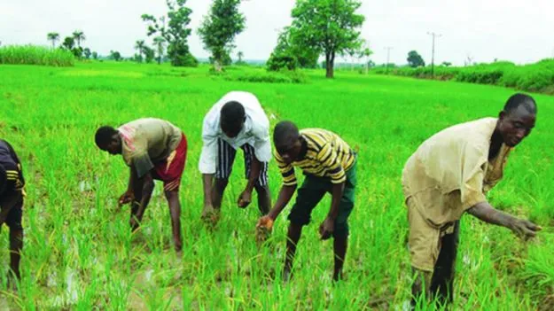Central Schemes for Farmers: పీఎం కిసాన్ నుండి ఫసల్ బీమా వరకు.. ఈ సూపర్ స్కీమ్ల గురించి మీకు తెలుసా?