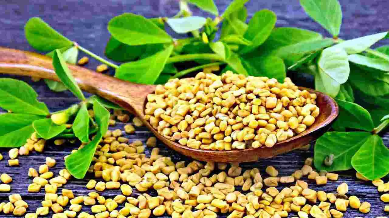 Fenugreek: భోజనం తర్వాత మెంతులు తినడం వల్ల ఎన్ని లాభాలున్నాయో తెలుసా.. 