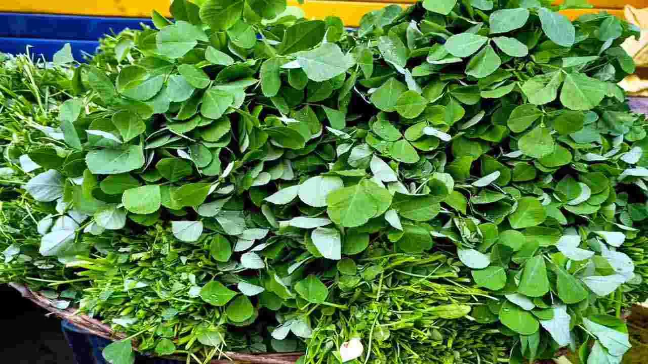 Health Tips: షుగర్ లెవల్స్ పెరిగిపోతున్నాయా.. అయితే వెంటనే ఈ 5 ఆకుకూరలు తినండి చాలు..