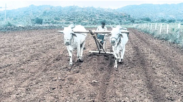రోహిణి రివర్స్‌
