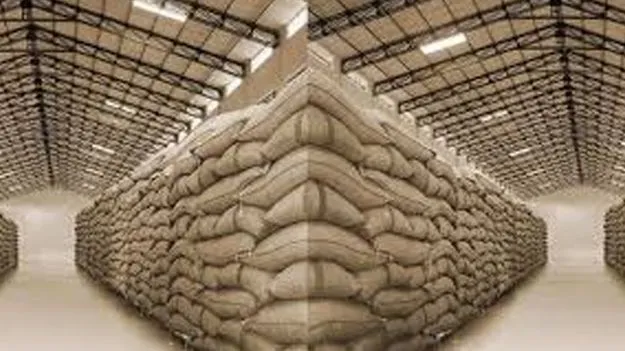 Grain Procurement: ధాన్యం సేకరణ తర్వాత తనిఖీలు చేపట్టాలి