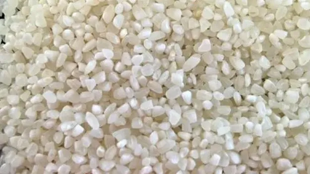 Andhra Pradesh Broken Rice: ఎఫ్‌సీఐకి పది శాతం నూకలు