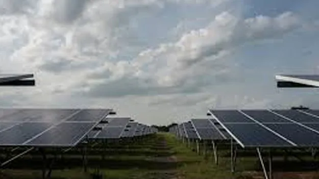 AP Solar Farming Policy: సోలార్‌ ప్యానెళ్ల కింద సాగు