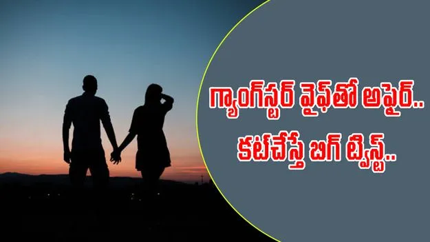 Nagpur Ippa Gang: గ్యాంగ్ లీడర్ భార్యతో ఎఫైర్.. వెంటాడి చంపేశారు..