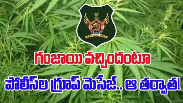 Ganja: గంజాయి వచ్చిందంటూ గ్రూప్లో పోలీసుల మెసేజ్.. ఆ తర్వాత!