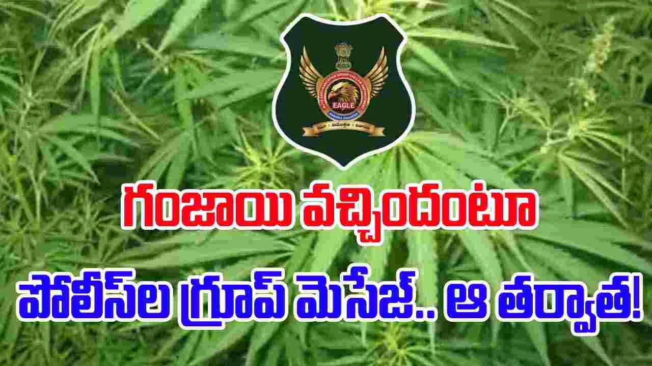 Ganja: గంజాయి వచ్చిందంటూ గ్రూప్‌లో పోలీసుల మెసేజ్.. ఆ తర్వాత!