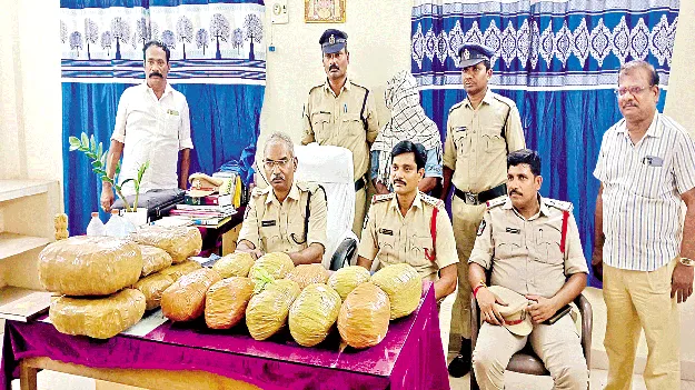  ట్రావెలర్స్‌కు ఆశ చూపి గంజాయి రవాణా 