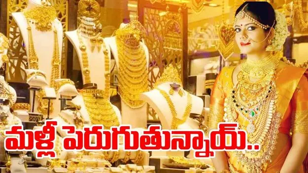 Gold Silver Rates Today: మళ్లీ పెరిగిన గోల్డ్ ధరలు.. కానీ వెండి రేట్లు మాత్రం.. 